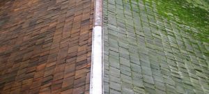 Beaverton Roof Cleaning Before and After